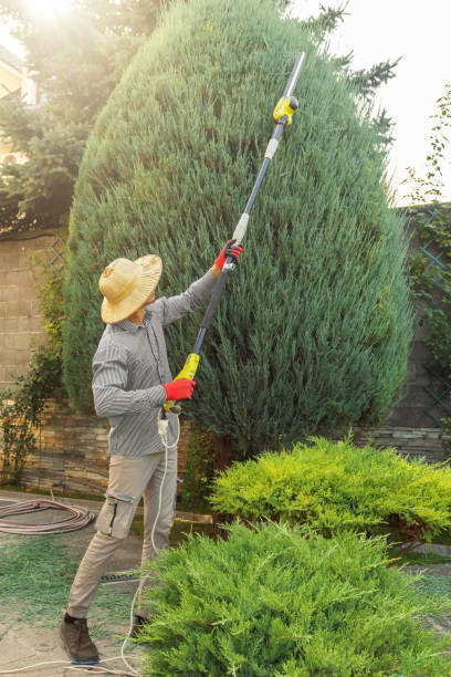 Best Lawn Irrigation Installation and Maintenance  in West Whittier Los Nietos, CA